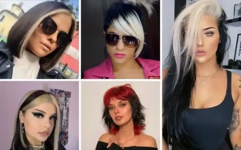 Popular Skunk Hair Styles